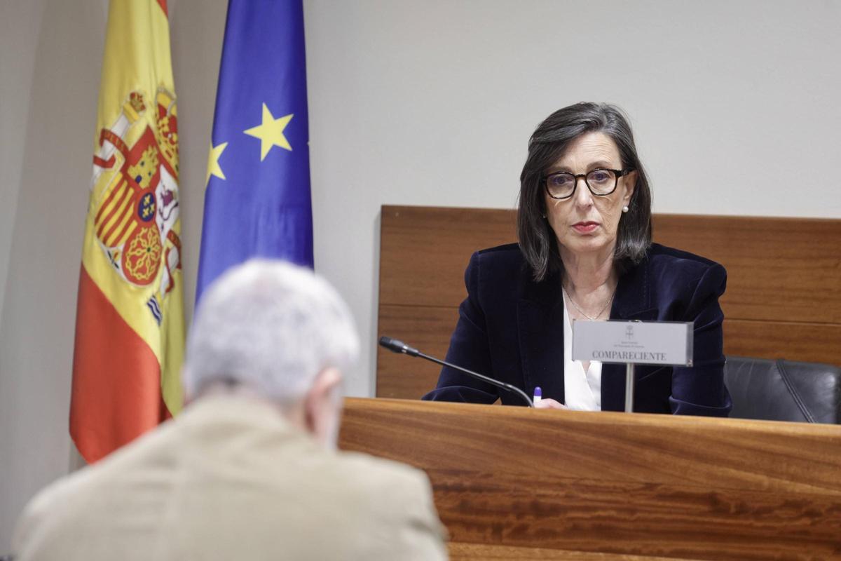 Nieves Roqueñí, durante su comparecencia.
