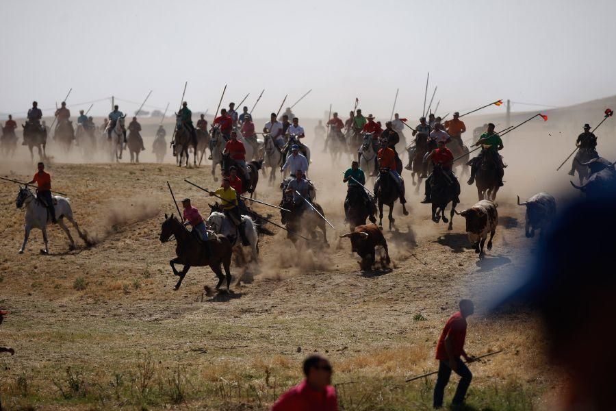 Encierro de campo en Guarrate