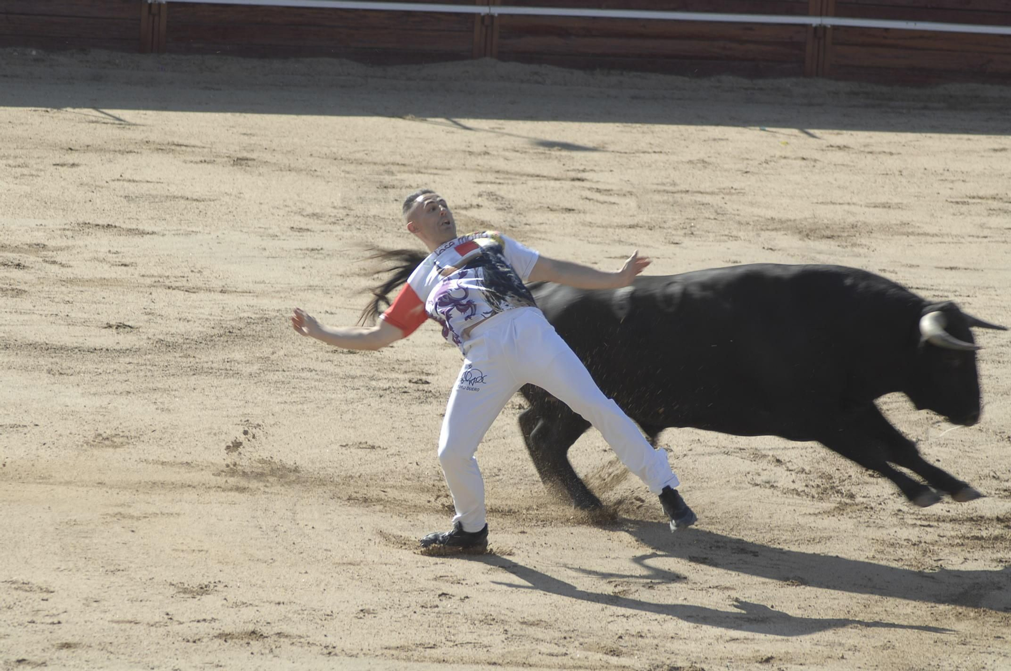 GALERÍA | Unos cuantos cortes de los arriesgados en Benavente