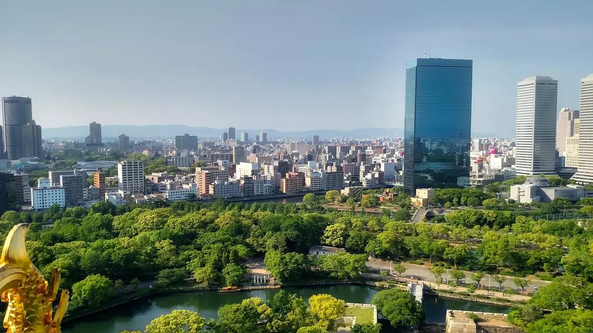 Crean un sistema de inteligencia artificial para cuidar los árboles urbanos sin tocar ni una hoja