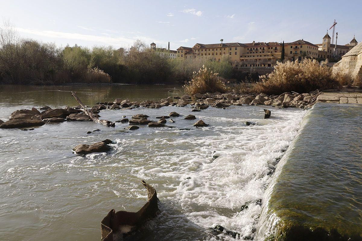 El río Guadalquivir a su paso por los Sotos de la Albolafia.