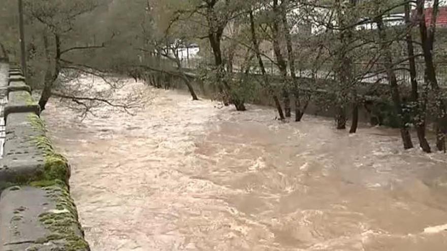 Vídeo: El desbordamiento del Nalón obliga a cortar varias carreteras y caminos en Trubia