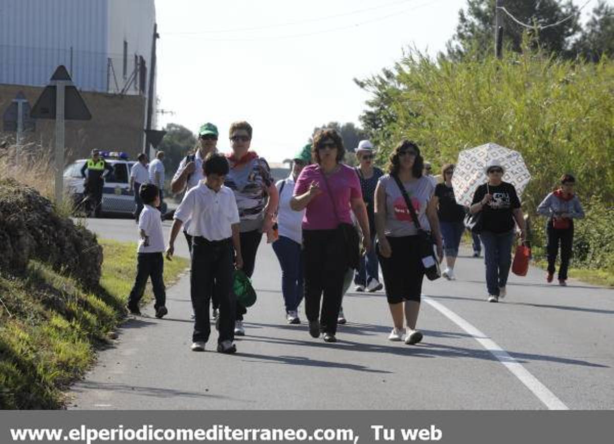 GALERÍA DE FOTOS - Romería en Almassora