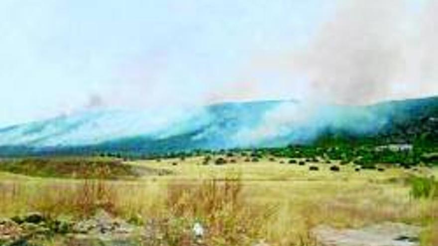 Un incendio arrasa unas 30 hectáreas de pastos en Arroyo de San Serván