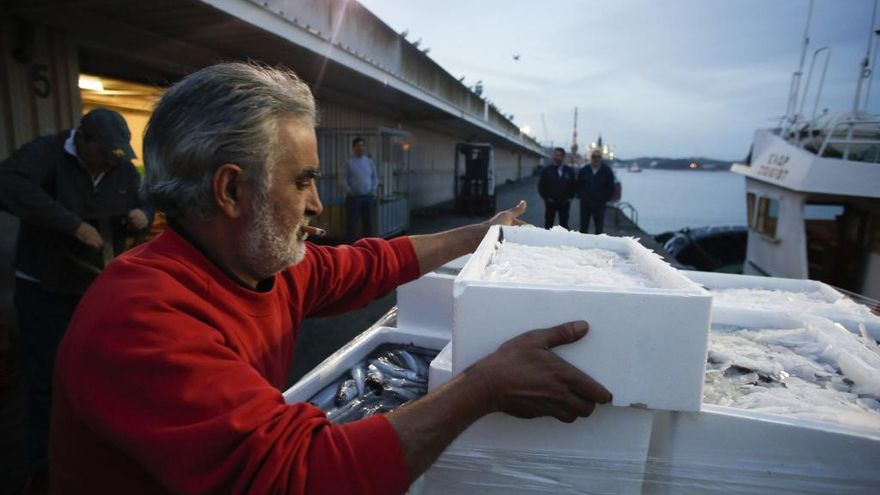 Descarga de pescado en la rula de Avilés