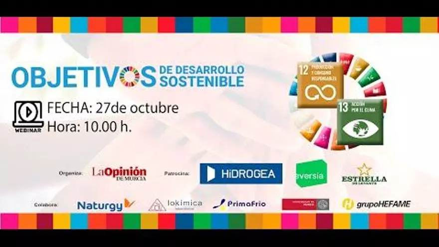ODS 12 Producción y Consumo Responsables y ODS 13 Acción por el clima. Webinar