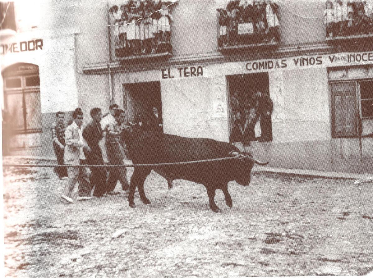 Toro en Plaza del Grano junto a la Casa de Comidas y Vinos El Tera, en año 1958.