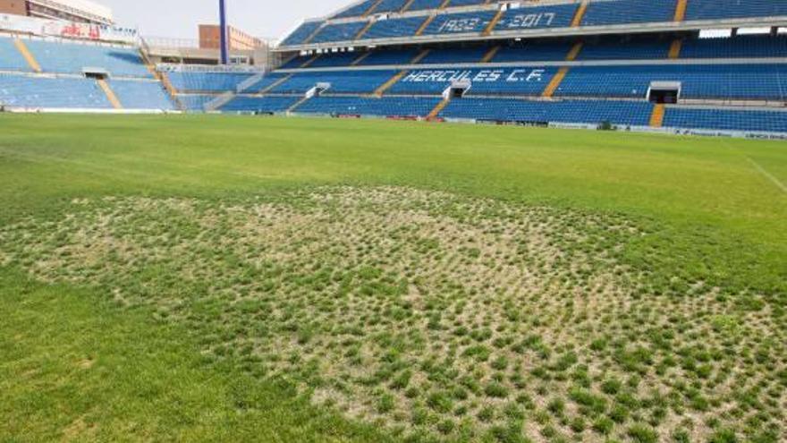 Así estaba el Rico Pérez un día antes del Hércules-Olot que abrió la Liga el pasado sábado.