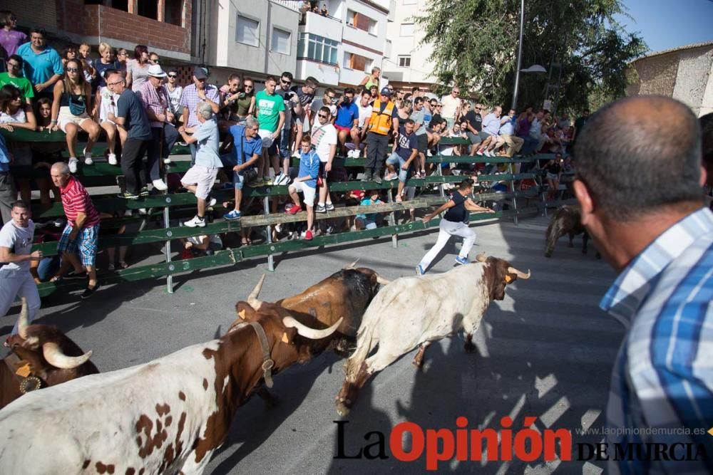 Cuarto encierro de Calasparra