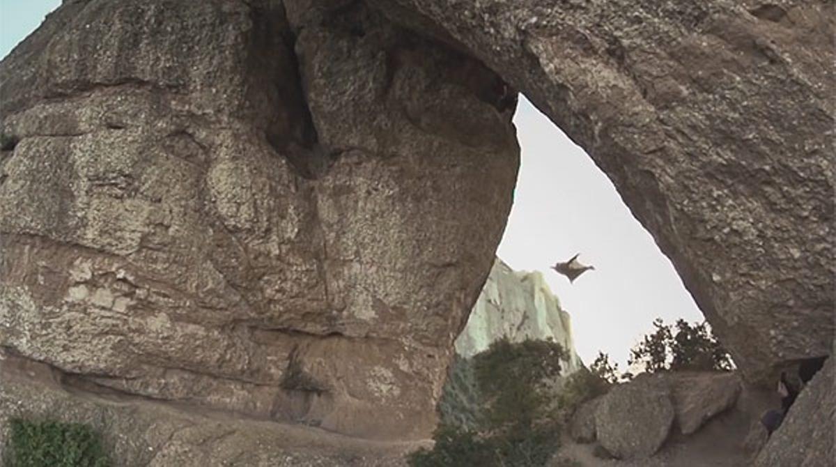 L’espectacular vol d’Alexander Polli a la roca Foradada de Montserrat.