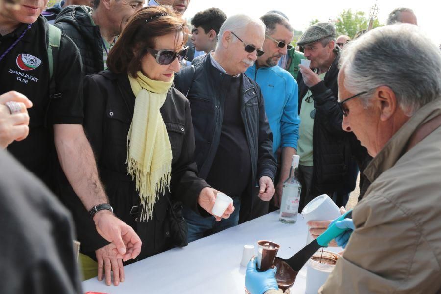 Romería de Valderrey en Zamora