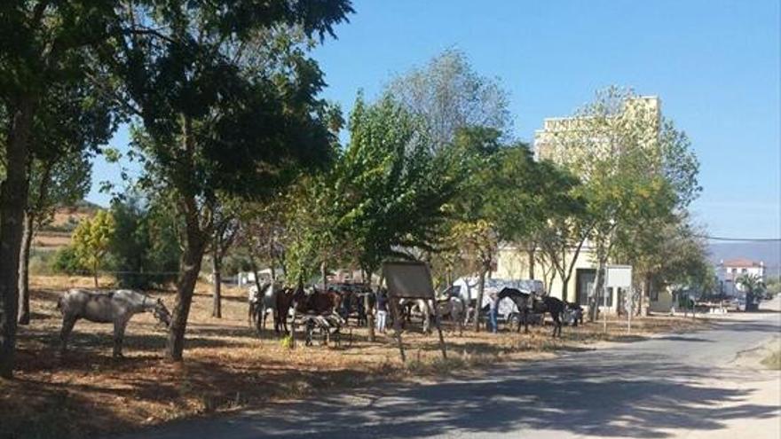 Miles de peregrinos llegan hoy a Guadalupe para honrar a la Virgen