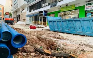 Cs pide un Consejo sobre Medio Ambiente para parar las talas