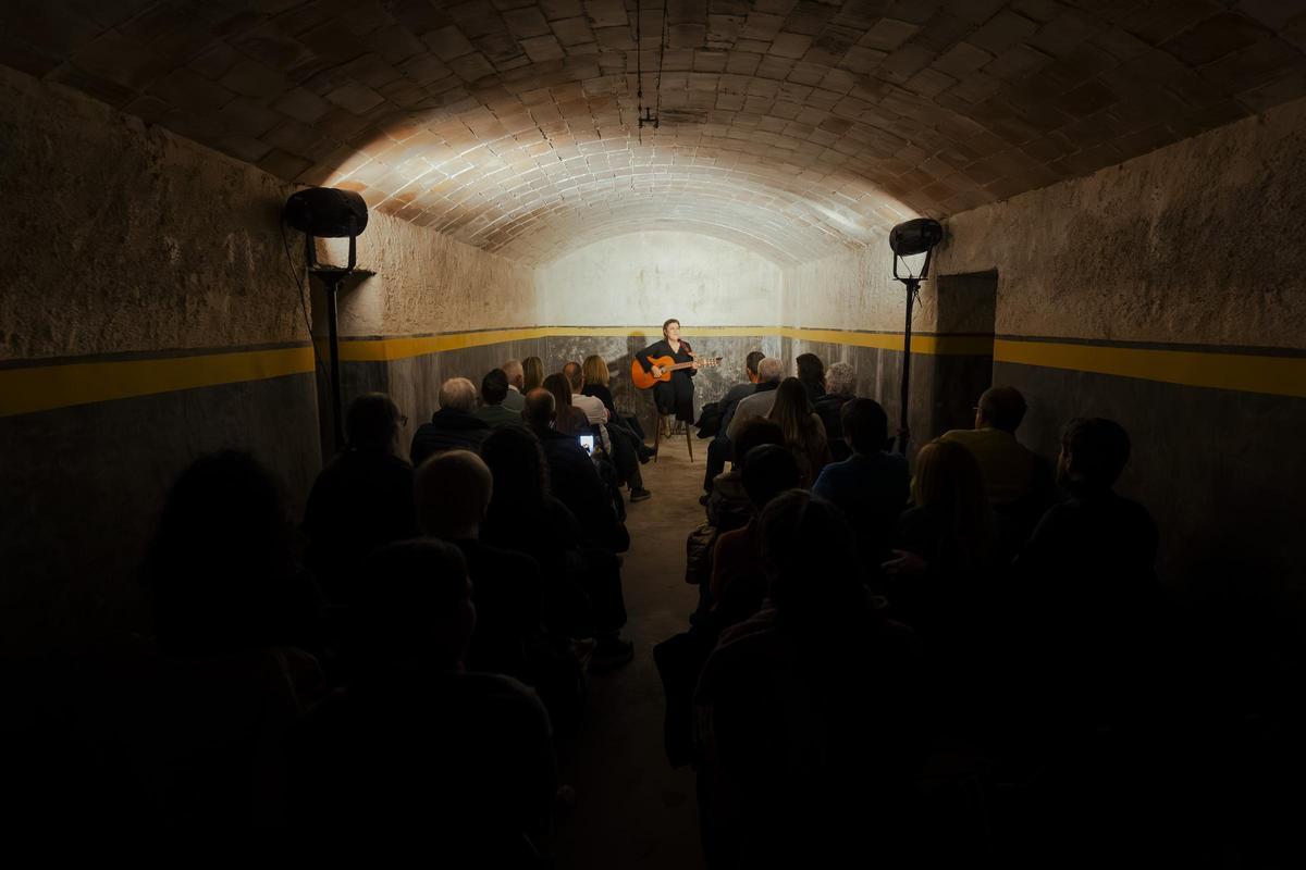 L'actuació d'Amparo Sánchez al Refugi Antiaeri, una de les encarregades d'acomiadar la 7a edició dels Concerts a Cegues.