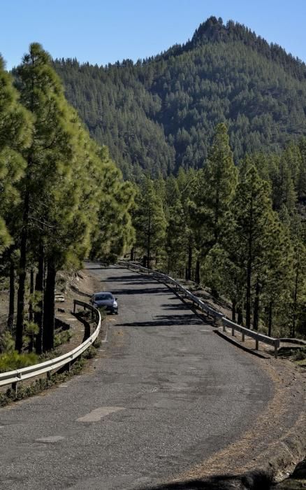 25/01/2018 CUMBRE GRAN CANARIA. Mal estado de las carreteras en la zona de medianías y cumbre de Gran Canaria. Carretera Artenara al pinar de Tamadaba. FOTO: J. PÉREZ CURBELO