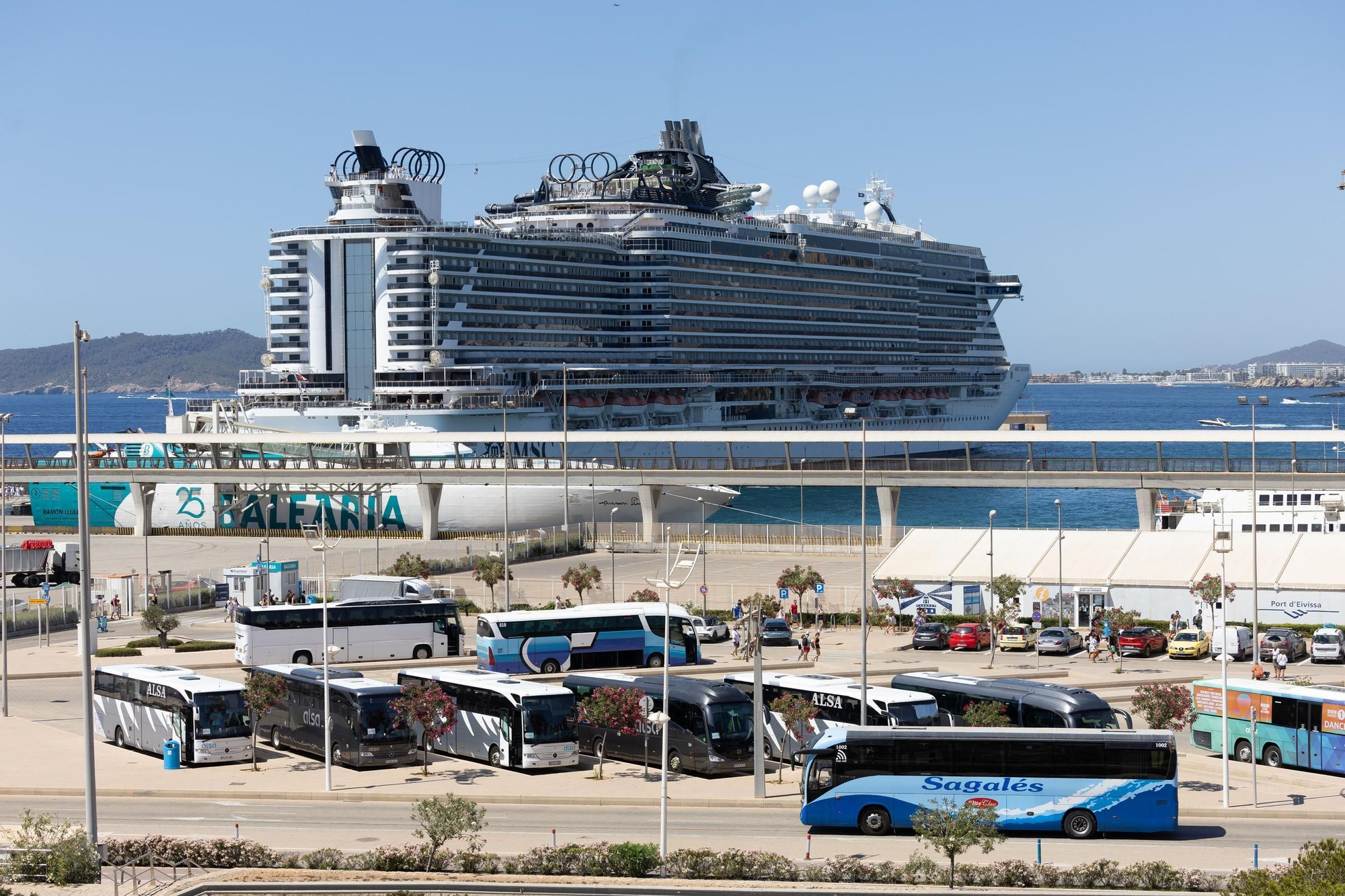 Galería: Portesta contra  los cruceros en Ibiza