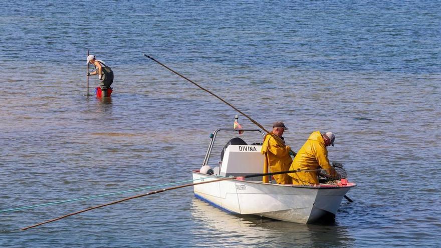 La Justicia da la razón a marineros de marisqueo a flote para cobrar el paro de los autónomos por mortandad de bivalvos