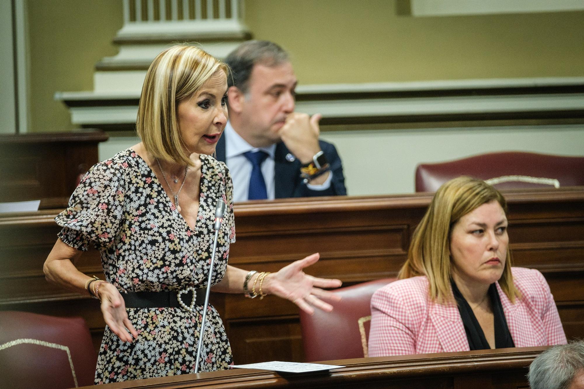 Pleno del Parlamento de Canarias 10.05.22