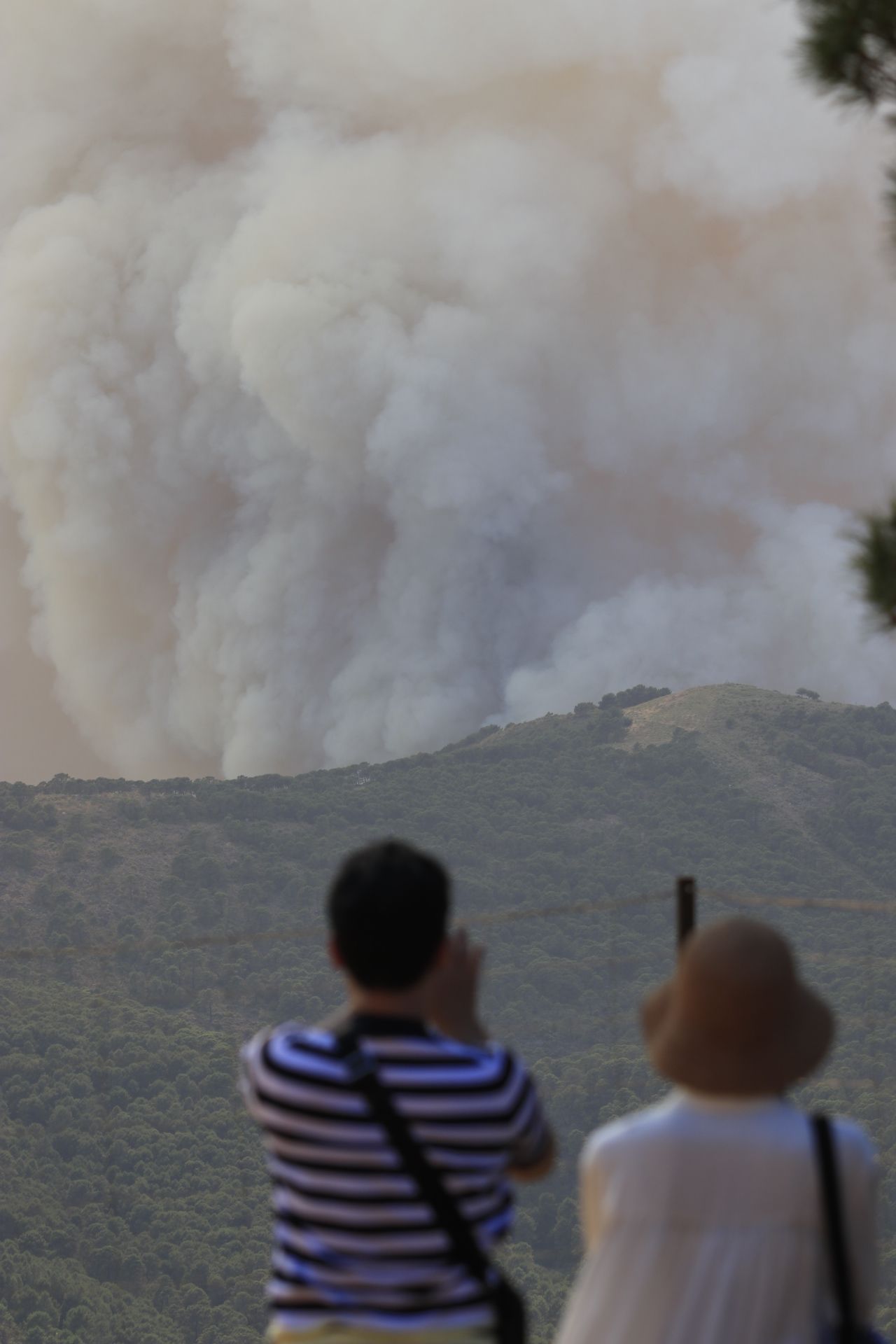 Incendio en Sierra Bermeja iniciado en Pujerra