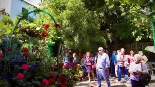 Los patios de Santiago y San Pedro recorren la vida en el laberinto verde