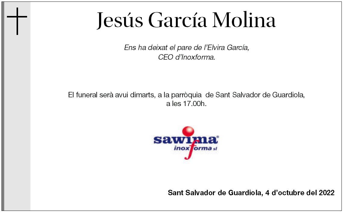 Jesús  García Molina