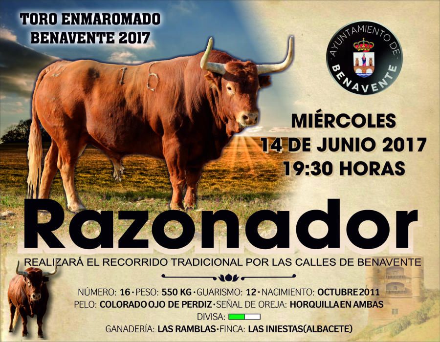 Toro Enmaromado 2017: Razonador