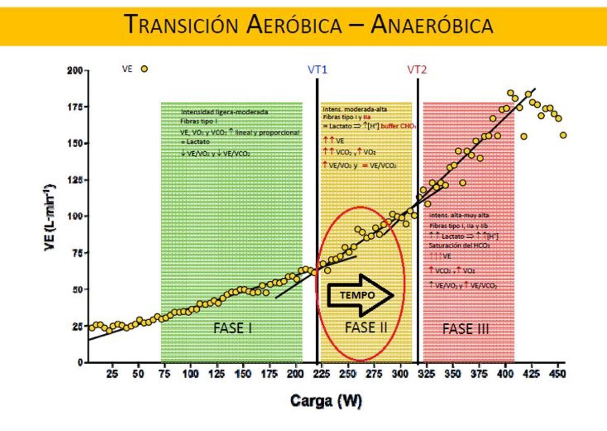 Modelo trifásico de transición aeróbica-anaeróbica de Skinner &amp; McLellan (1980) (modificado de Chicharro &amp; Lucia, 2008). Adaptado por Peris, A. (2016)