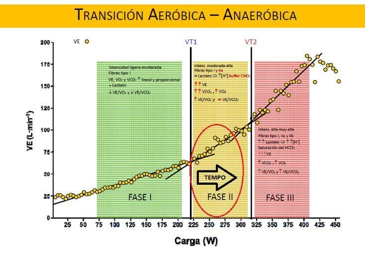 Modelo trifásico de transición aeróbica-anaeróbica de Skinner & McLellan (1980) (modificado de Chicharro & Lucia, 2008). Adaptado por Peris, A. (2016)
