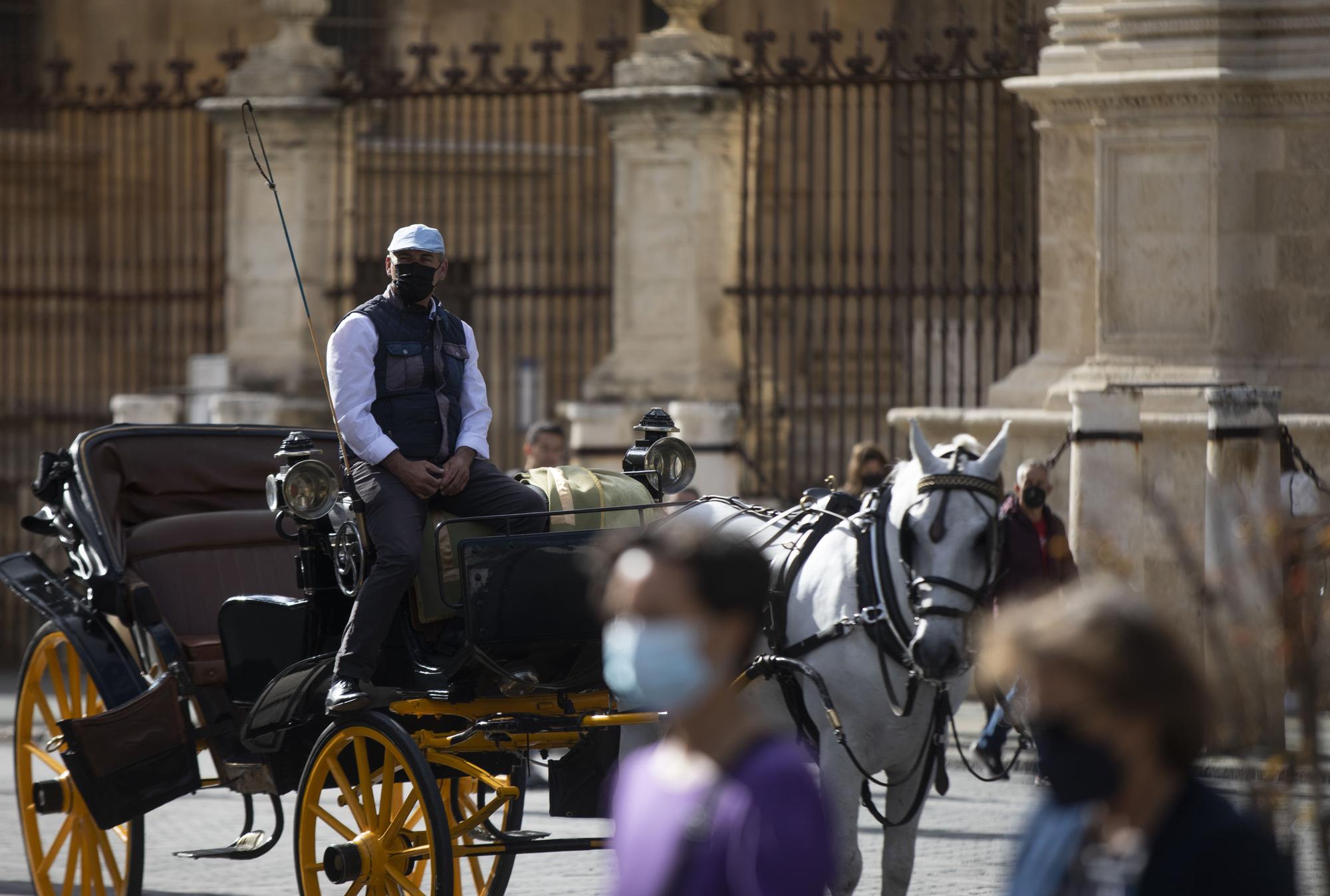 Carruaje en Sevilla