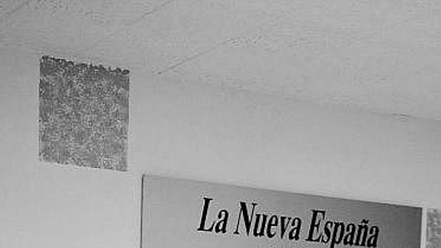 «Ser mujer se ha convertido en un mérito, igual que pertenecer a un partido político»