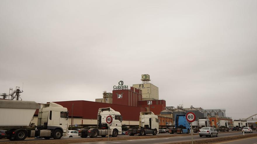GALERÍA | Movilización de camiones en Zamora contra la subida del combustible