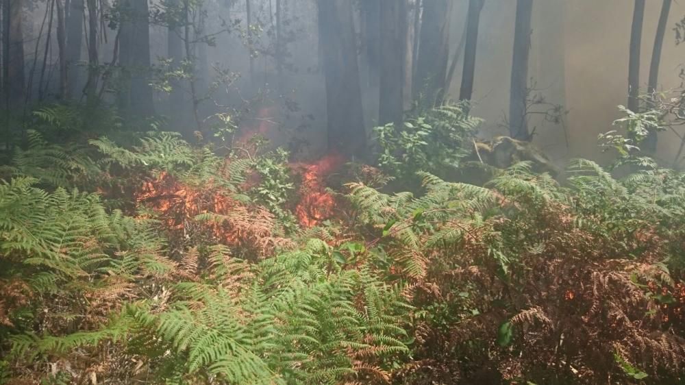 Labores de extinción en Cangas // G.N.