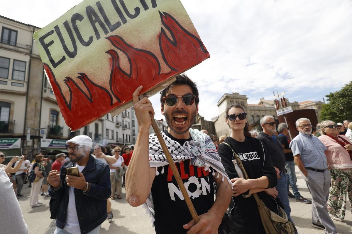 Numerosos manifestantes denuncian "la eucaliptización" de Galicia.