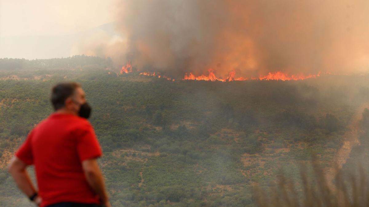 Uno de cada tres incendios de 2025, el año con más superficie quemada de este siglo, fue intencionado