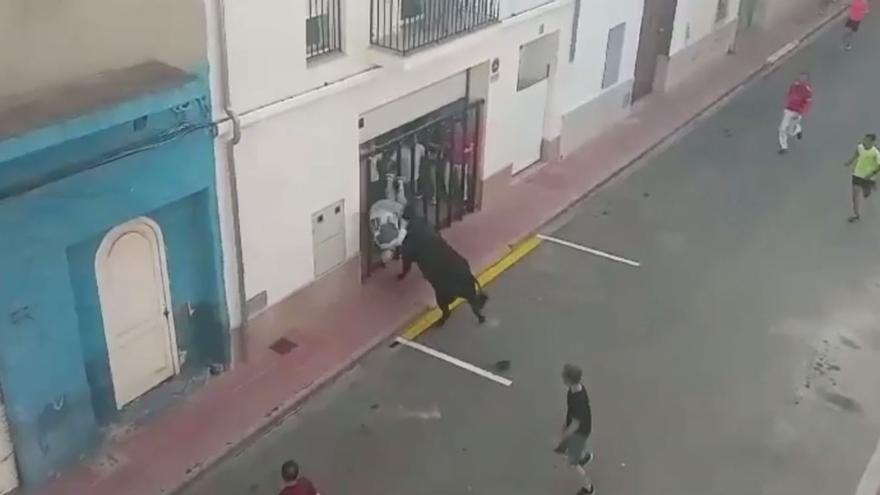 Brutal cogida en los bous al carrer de Puçol