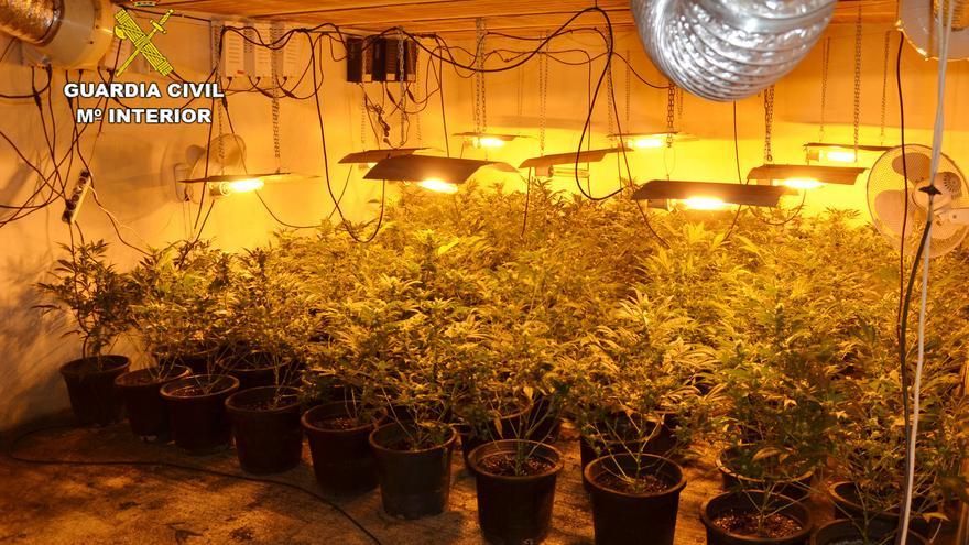 Detenido en un zulo subterráneo de Cieza con 200 plantas de marihuana