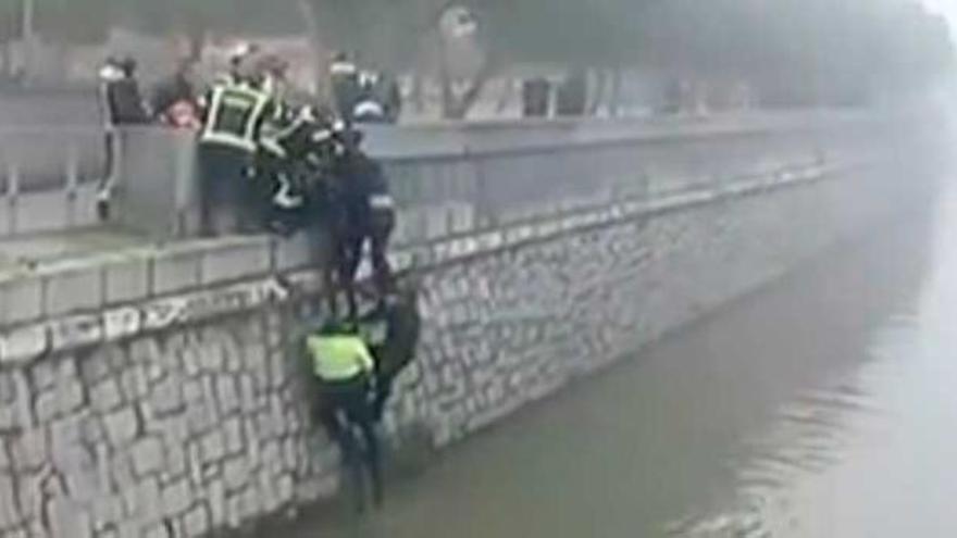 Momento en el que efectivos de emergencias de Madrid rescatan a &#039;Jimmy&#039; del río Manzanares.