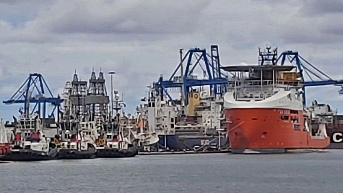 La policía busca un alijo de droga en un barco con una carga de millo en el Puerto