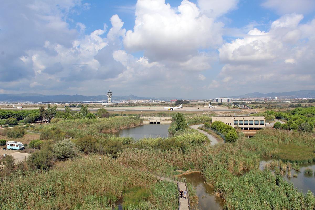 "No maten el delta del Llobregat para hacer el mejor aeropuerto donde no cabe"