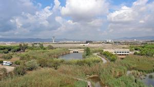"No maten el delta del Llobregat para hacer el mejor aeropuerto donde no cabe"