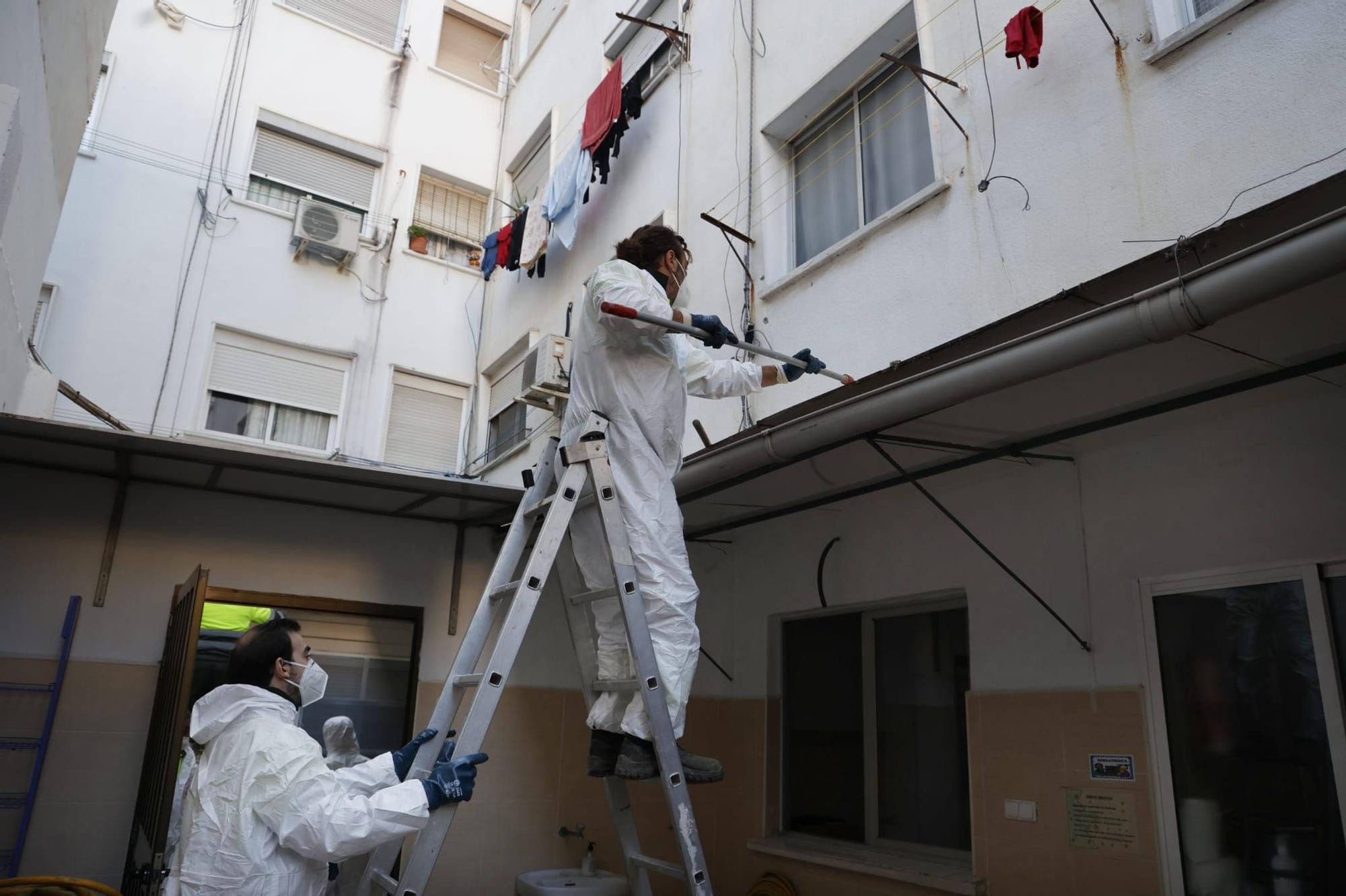 Limpieza de un patio de viviendas precarias en Orriols