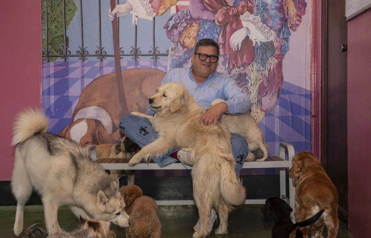 Octavio Villazala, propietario de Montegatto, con varios perros. | Casteleiro/Roller Agencia