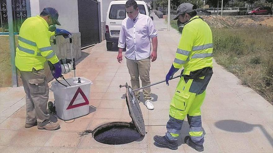 Los expertos alertan de un verano «difícil» por el voraz mosquito tigre