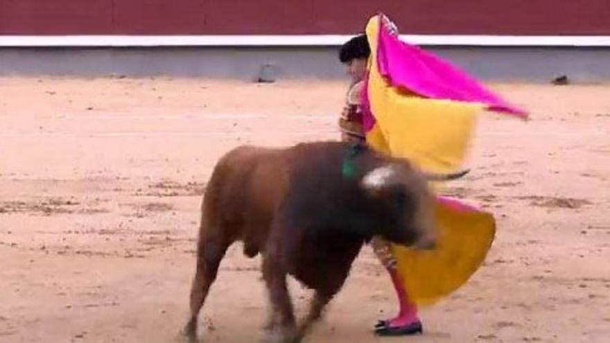 Los toros a la escuela