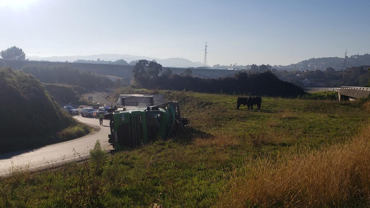 El accidente se produjo en la N-120 a su paso por Ourense.