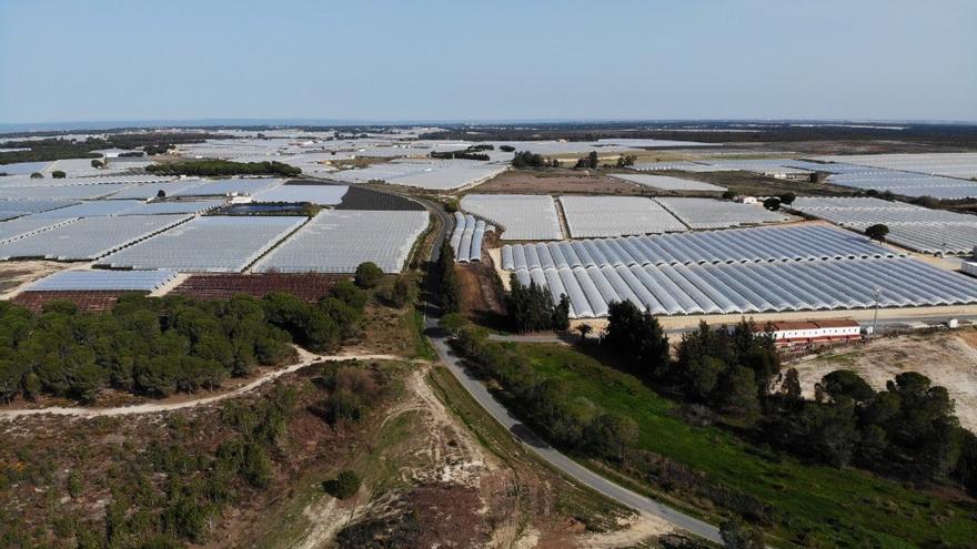 Finca de regadío en la zona de Doñana