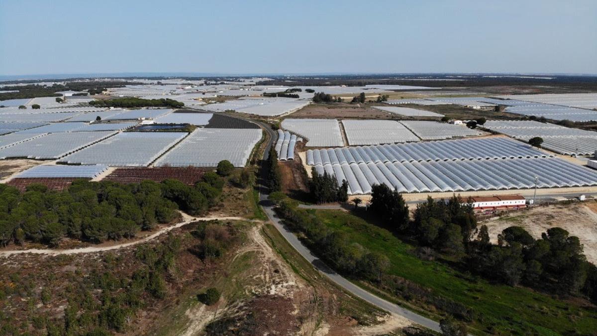 Finca de regadío en la zona de Doñana