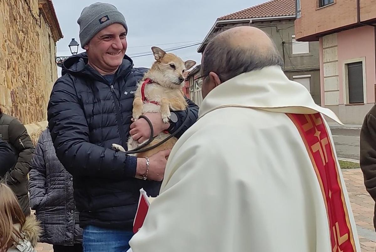 Fiesta de San Antón, en Santa Cristina.