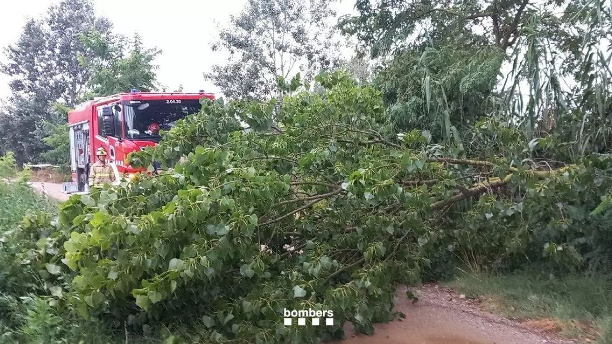 Així han afectat les pluges intenses, la calamarsa i el temporal elèctric d'aquest dimecres a Catalunya