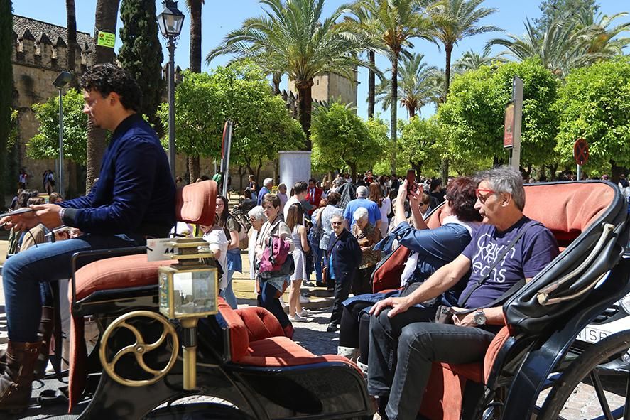 Fotogalería / Turismo en el Primero de Mayo en Córdoba